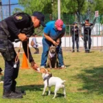 Realizó Policía de Corregidora curso de adiestramiento canino