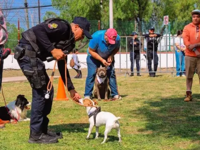 Realizó Policía de Corregidora curso de adiestramiento canino