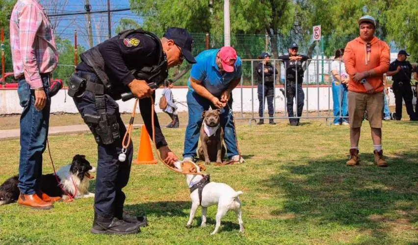 Lee más sobre el artículo Realizó Policía de Corregidora curso de adiestramiento canino