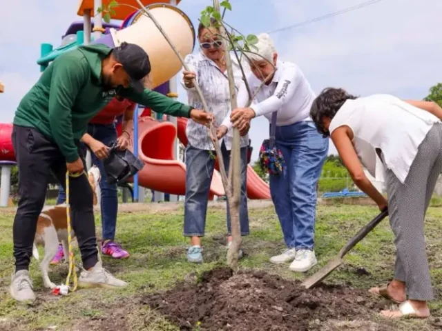Corregidora celebra Día del Árbol con reforestación y donación de ejemplares