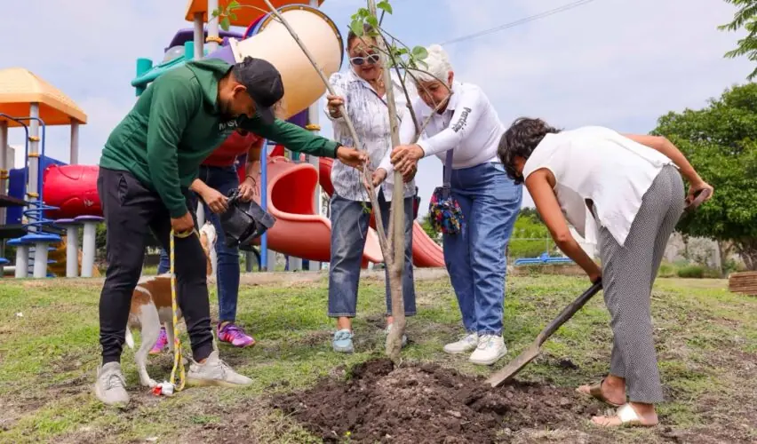 Lee más sobre el artículo Corregidora celebra Día del Árbol con reforestación y donación de ejemplares