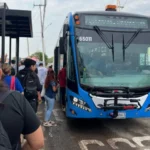 Suma Qrobus unidades a la ruta C51 para atender crecimiento en la demanda