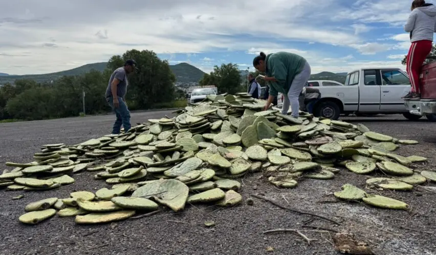 Lee más sobre el artículo Entrega municipio de Querétaro semilla de maíz a productores queretanos