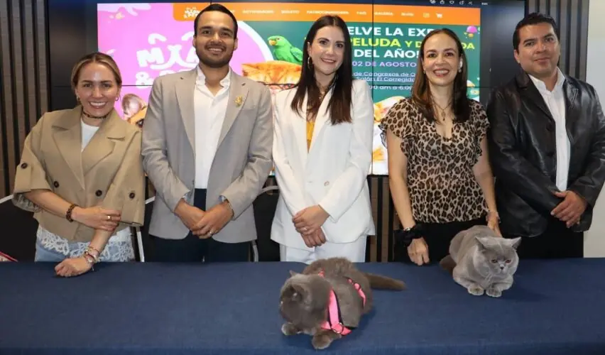 Lee más sobre el artículo Anuncian segunda edición de Miau & Pets Expo Mascotas México 2026 en Querétaro