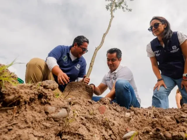 Encabeza Felifer Macías celebración del Día del Árbol con reforestación en La Queretana