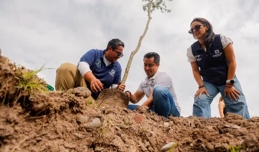 Lee más sobre el artículo Encabeza Felifer Macías celebración del Día del Árbol con reforestación en La Queretana