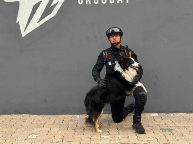 Obtiene policía municipal de Corregidora certificación internacional en búsqueda y rescate de personas