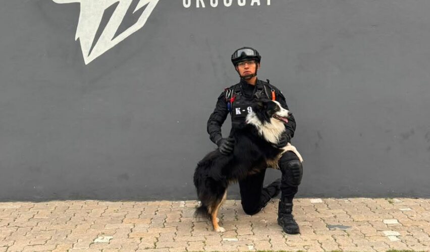 Lee más sobre el artículo Obtiene policía municipal de Corregidora certificación internacional en búsqueda y rescate de personas