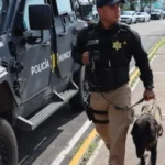 Más de mil 900 personas fueron detenidas por la policía capitalina en julio