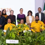 En Jornada Nacional de Reforestación 2026 sembrarán 6.6 millones de plantas y árboles