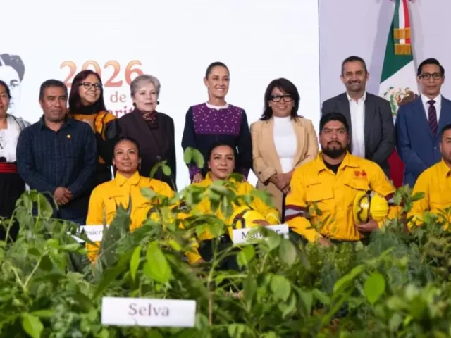En Jornada Nacional de Reforestación 2026 sembrarán 6.6 millones de plantas y árboles