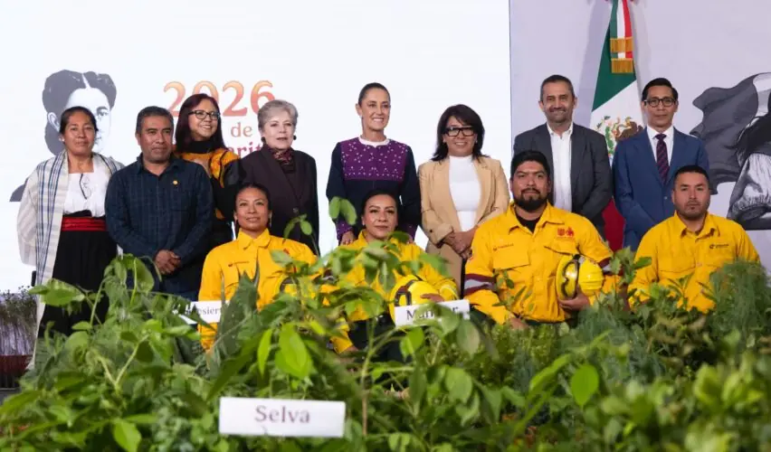 Lee más sobre el artículo En Jornada Nacional de Reforestación 2026 sembrarán 6.6 millones de plantas y árboles