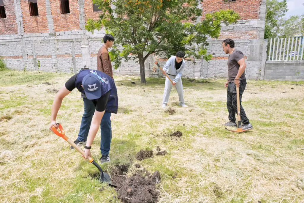 Lee más sobre el artículo Encabeza Felifer Macías reforestación en la prepa Bicentenario