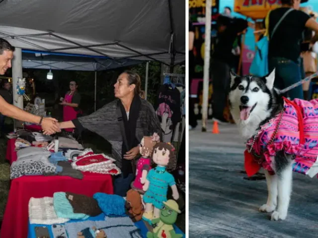 Encabeza Monsalvo celebración de Instituto de Protección Animal por fiestas patrias