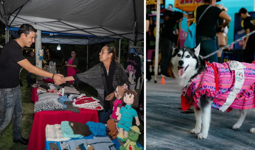 Lee más sobre el artículo Encabeza Monsalvo celebración de Instituto de Protección Animal por fiestas patrias