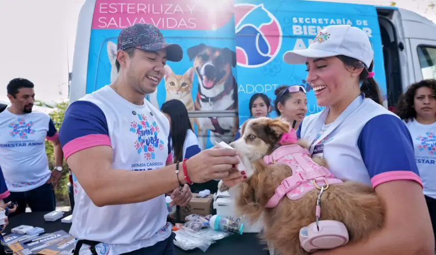 Lee más sobre el artículo Anuncia Felifer Macías Tags de geolocalización en la primera Carrera de Bienestar Animal 2026