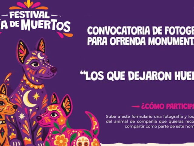 Invita municipio de Querétaro a incluir foto de mascotas en Ofrenda Monumental