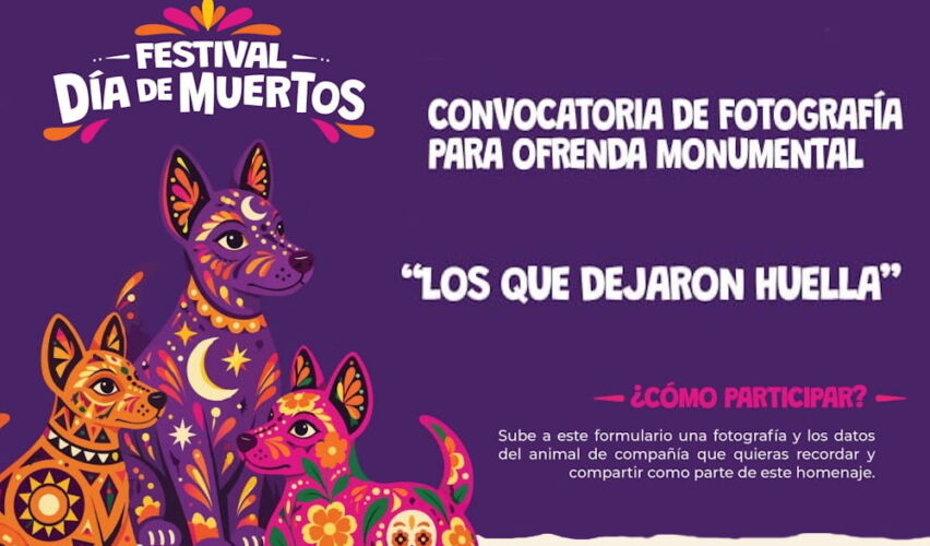 Lee más sobre el artículo Invita municipio de Querétaro a incluir foto de mascotas en Ofrenda Monumental