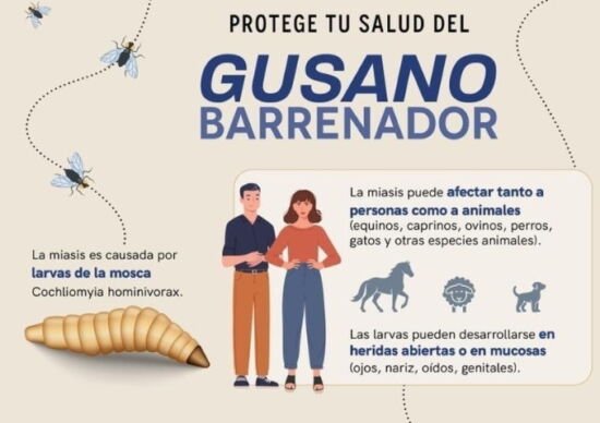 Mantiene Gobierno de Querétaro vigilancia epidemiológica ante casos de gusano barrenador en humanos