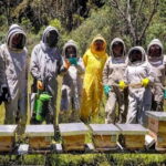 Protección Animal de El Marqués se capacita en Colombia en cuidado de abejas