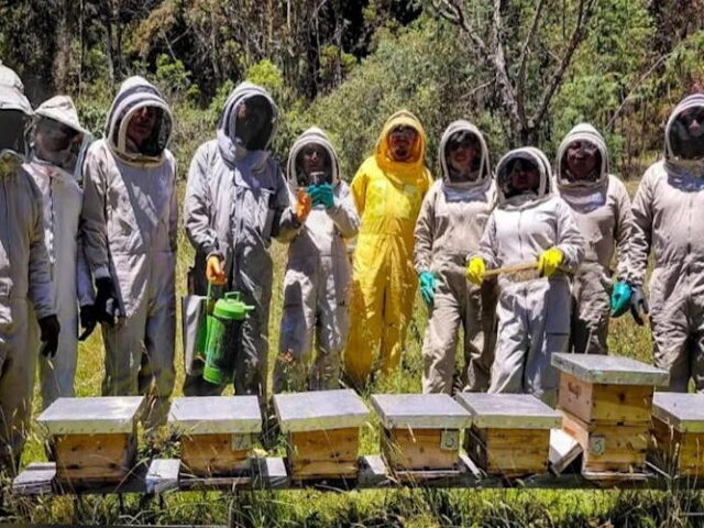 Protección Animal de El Marqués se capacita en Colombia en cuidado de abejas