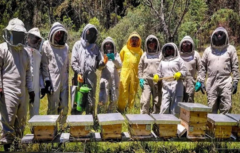 Lee más sobre el artículo Protección Animal de El Marqués se capacita en Colombia en cuidado de abejas