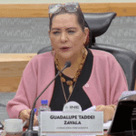 Guadalupe Taddei renuncia al INE