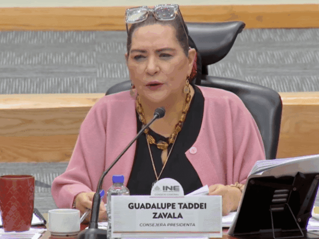 Guadalupe Taddei renuncia al INE